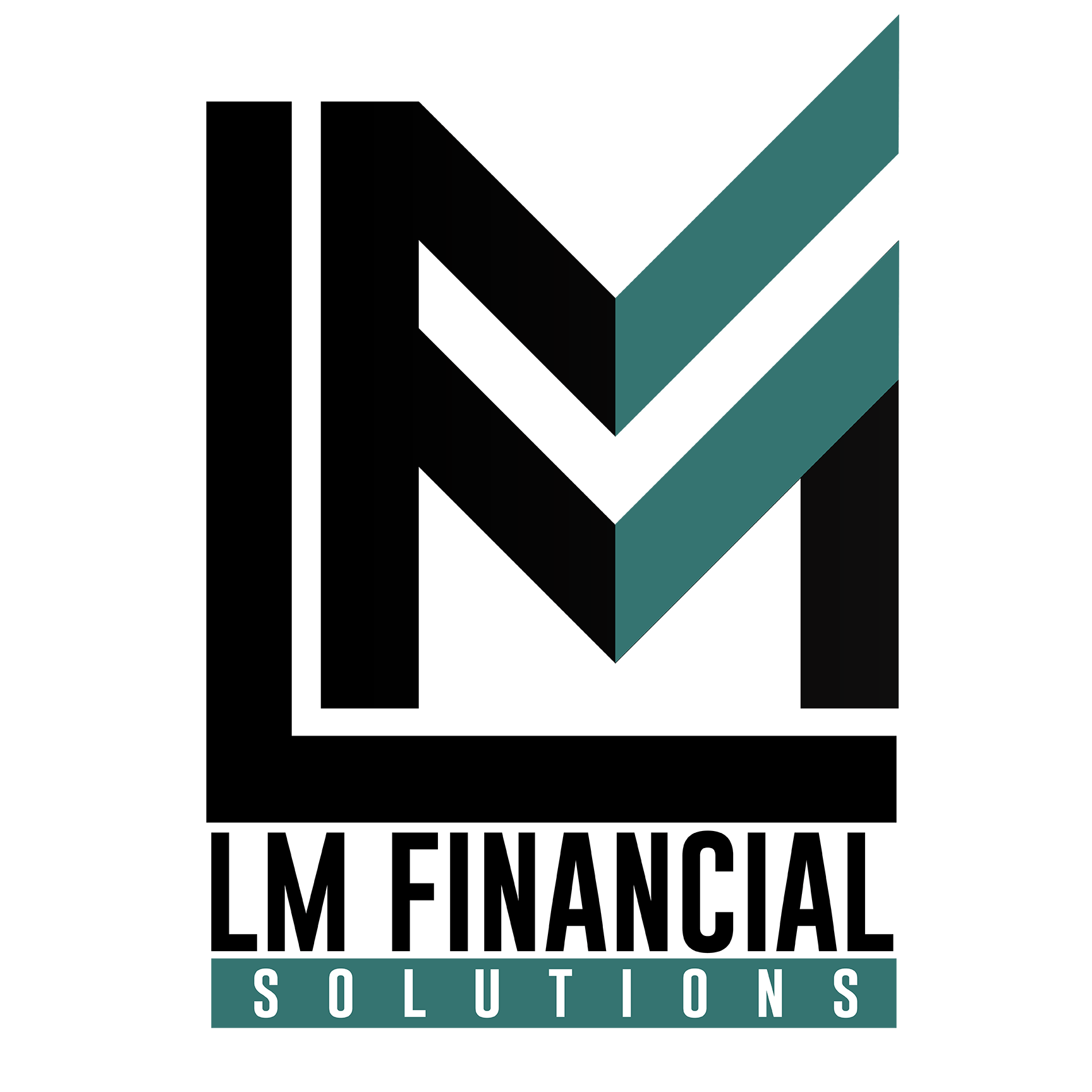 LM Financial Solutions | Finance Cleanup, Management, Reporting